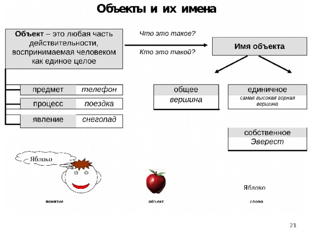 Объект – это любая часть действительности, воспринимаемая человеком как единое целое процесс Яблоко Яблоко  