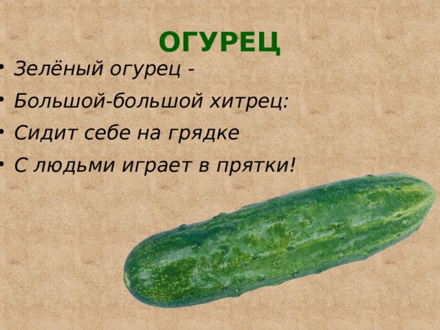 ОГУРЕЦ Зелёный огурец - Большой-большой хитрец: Сидит себе на грядке С людьми играет в прятки! 