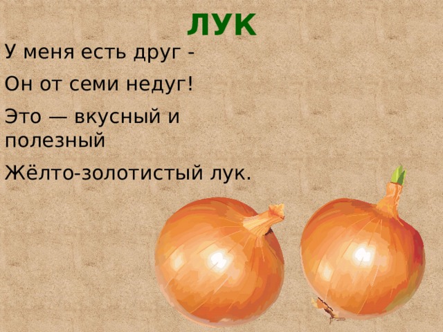 ЛУК   У меня есть друг - Он от семи недуг! Это — вкусный и полезный Жёлто-золотистый лук. 