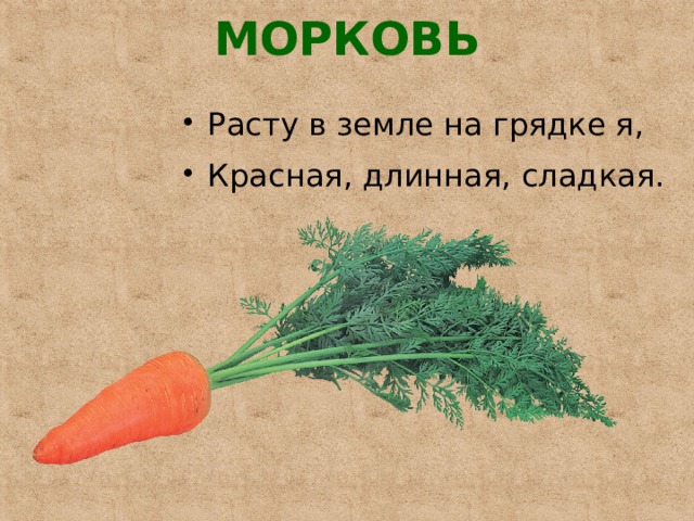 МОРКОВЬ   Расту в земле на грядке я, Красная, длинная, сладкая. 