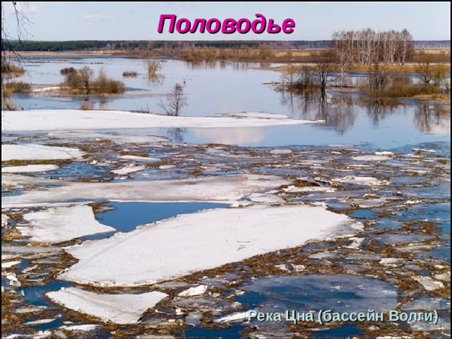 Половодье Река Цна (бассейн Волги) 