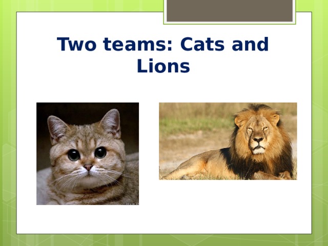 Two teams: Cats and Lions 