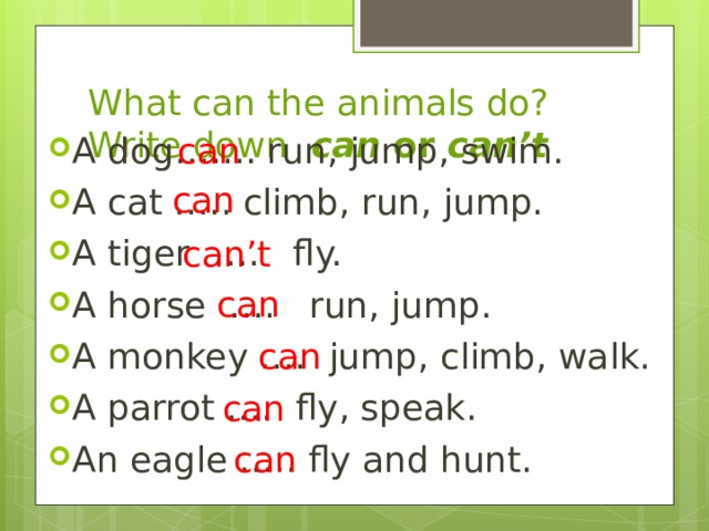 What can the animals do? Write down can or can’t can A dog……. run, jump, swim. A cat ….. climb, run, jump. A tiger …. fly. A horse …. run, jump. A monkey …. jump, climb, walk. A parrot …. fly, speak. An eagle ….. fly and hunt.    can can’t can can can can 