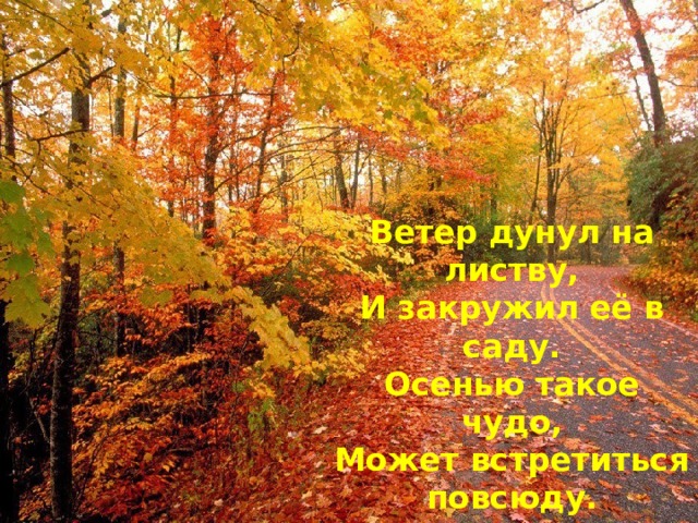 Ветер дунул на листву,  И закружил её в саду.  Осенью такое чудо,  Может встретиться повсюду. 