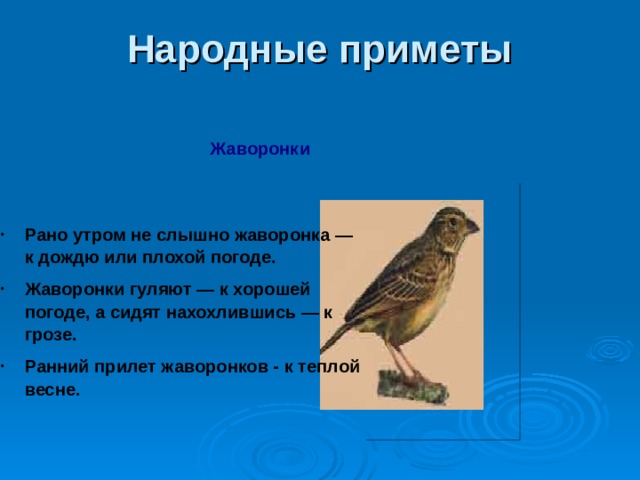 Народные приметы   Жаворонки Рано утром не слышно жаворонка — к дождю или плохой погоде. Жаворонки гуляют — к хорошей погоде, а сидят нахохлившись — к грозе. Ранний прилет жаворонков - к теплой весне. 