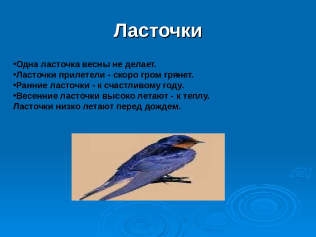 Ласточки Одна ласточка весны не делает. Ласточки прилетели - скоро гром грянет. Ранние ласточки - к счастливому году. Весенние ласточки высоко летают - к теплу. Ласточки низко летают перед дождем.  
