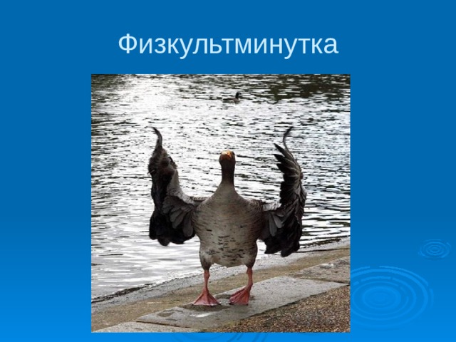 Физкультминутка 