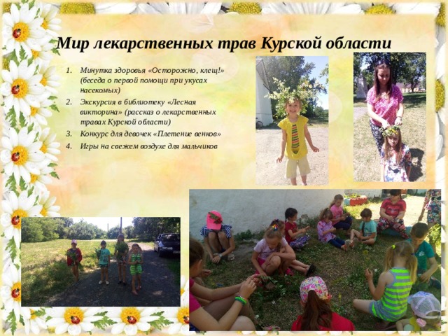 Мир лекарственных трав Курской области Минутка здоровья «Осторожно, клещ!» (беседа о первой помощи при укусах насекомых) Экскурсия в библиотеку «Лесная викторина» (рассказ о лекарственных травах Курской области) Конкурс для девочек «Плетение венков» Игры на свежем воздухе для мальчиков  
