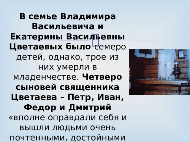 В семье Владимира Васильевича и Екатерины Васильевны Цветаевых было семеро детей, однако, трое из них умерли в младенчестве. Четверо сыновей священника Цветаева – Петр, Иван, Федор и Дмитрий «вполне оправдали себя и вышли людьми очень почтенными, достойными имени своего отца».   