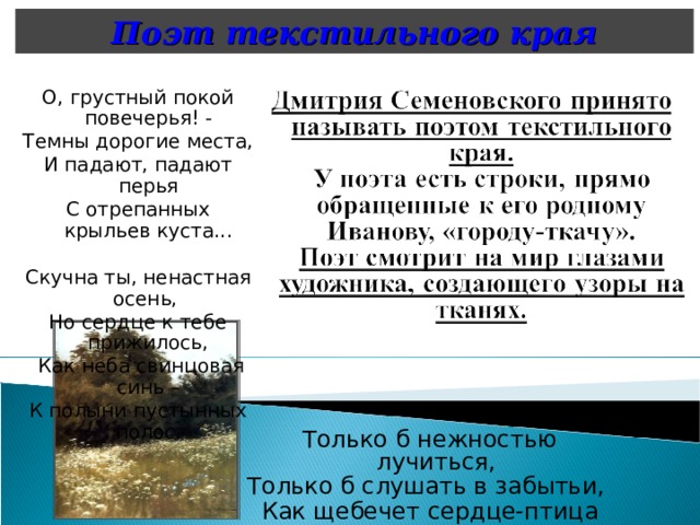 Поэт текстильного края О, грустный покой повечерья! - Темны дорогие места, И падают, падают перья С отрепанных крыльев куста...   Скучна ты, ненастная осень, Но сердце к тебе прижилось,  Как неба свинцовая синь – К полыни пустынных полос. Только б нежностью лучиться, Только б слушать в забытьи, Как щебечет сердце-птица  Песни сладкие свои. 