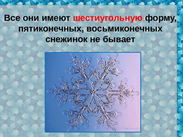 Все они имеют шестиугольную форму, пятиконечных, восьмиконечных снежинок не бывает 