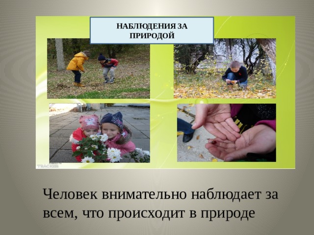 НАБЛЮДЕНИЯ ЗА ПРИРОДОЙ Человек внимательно наблюдает за всем, что происходит в природе 
