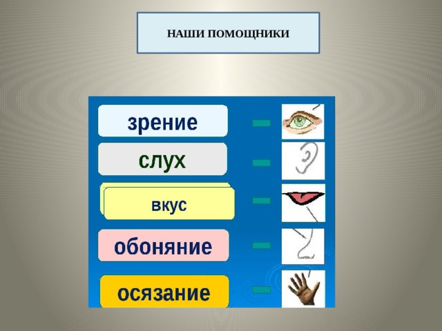 НАШИ ПОМОЩНИКИ 