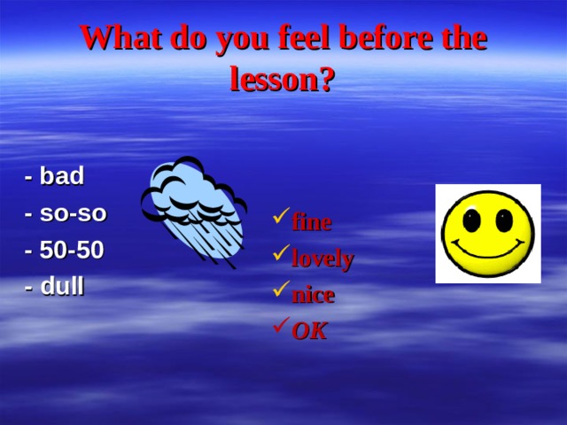 What do you feel before the lesson? - bad - so-so - 50-50 - dull fine lovely nice OK   