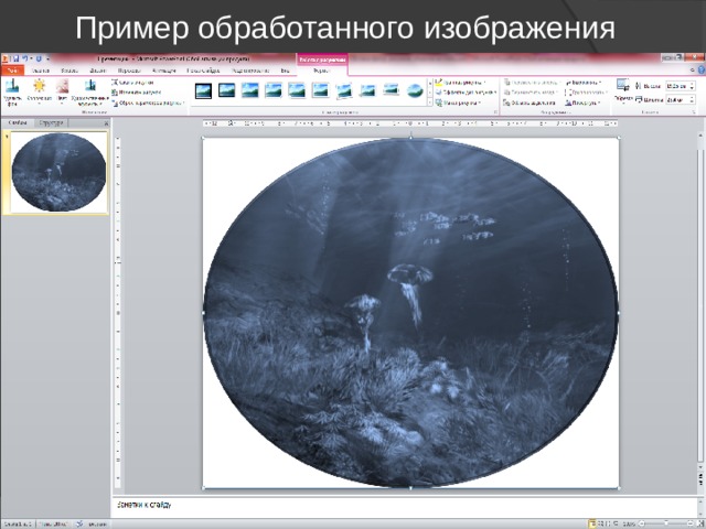 Пример обработанного изображения 