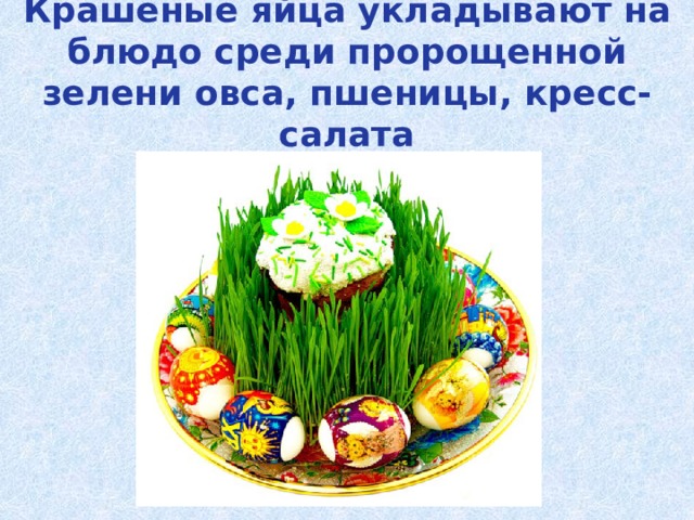 Крашеные яйца укладывают на блюдо среди пророщенной зелени овса, пшеницы, кресс-салата 