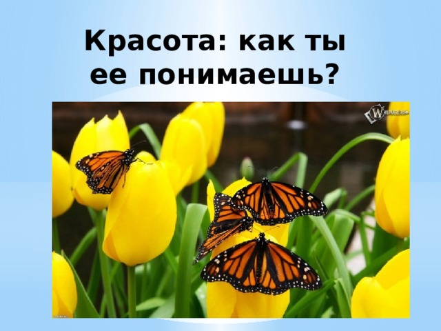Красота: как ты ее понимаешь?  