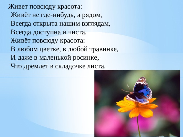  Живет повсюду красота:      Живёт не где-нибудь, а рядом,      Всегда открыта нашим взглядам,      Всегда доступна и чиста.      Живёт повсюду красота:      В любом цветке, в любой травинке,       И даже в маленькой росинке,      Что дремлет в складочке листа. 