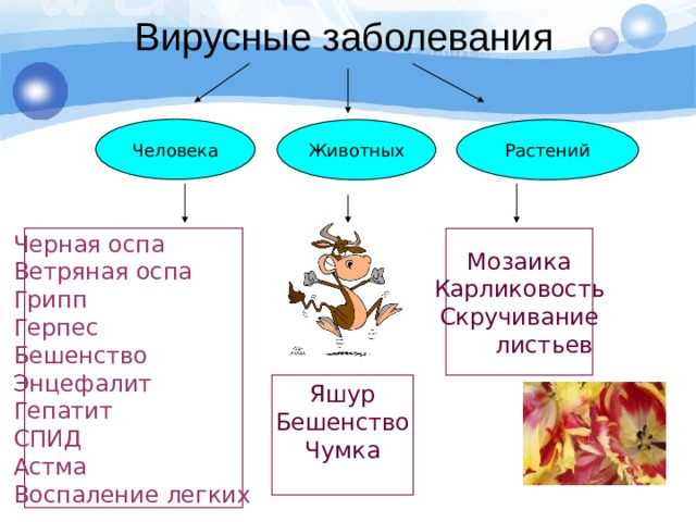 ВИЧ вызывает заболевание  вич-инфекция С – синдром П – приобретенного И – иммуно- Д – дефицита (признаки определенного заболевания) (неврожденного, а приобретенного в результате вич-инфекции) (потеря организмом способности сопротивляться инфекциям) 