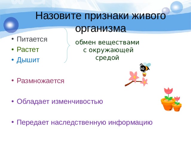 Назовите признаки живого организма Питается Растет Дышит  Размножается Обладает изменчивостью  Передает наследственную информацию  обмен веществами  с окружающей средой 