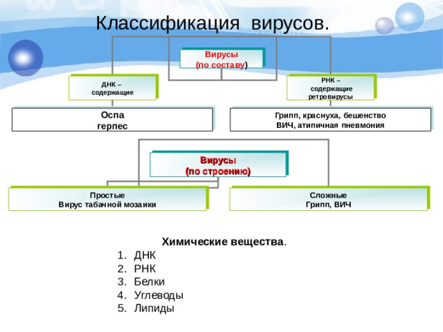 Классификация вирусов. Вирусы (по составу ) ДНК – содержащие РНК –  содержащие ретровирусы Оспа герпес Грипп, краснуха, бешенство ВИЧ, атипичная пневмония Вирусы (по строению) Простые Вирус табачной мозаики Сложные Грипп, ВИЧ Химические вещества . ДНК РНК Белки Углеводы Липиды 