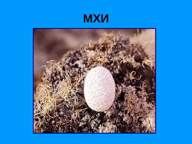 МХИ 