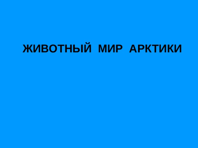 ЖИВОТНЫЙ МИР АРКТИКИ 