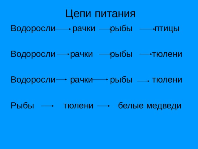  Цепи питания Водоросли рачки рыбы птицы Водоросли рачки рыбы тюлени Водоросли рачки рыбы тюлени Рыбы тюлени белые медведи 