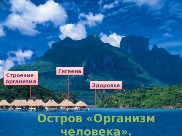 Гигиена Строение организма Здоровье Остров «Организм человека». 