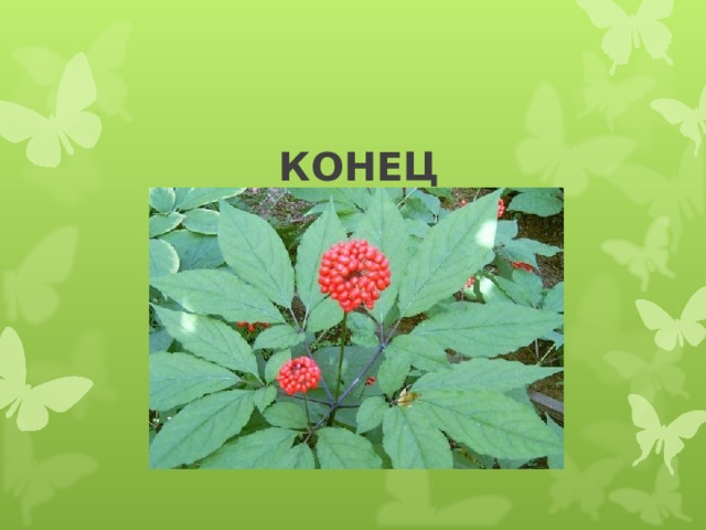 КОНЕЦ 