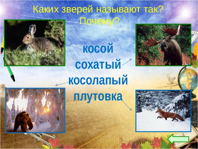 Каких зверей называют так?  Почему? косой сохатый косолапый плутовка 