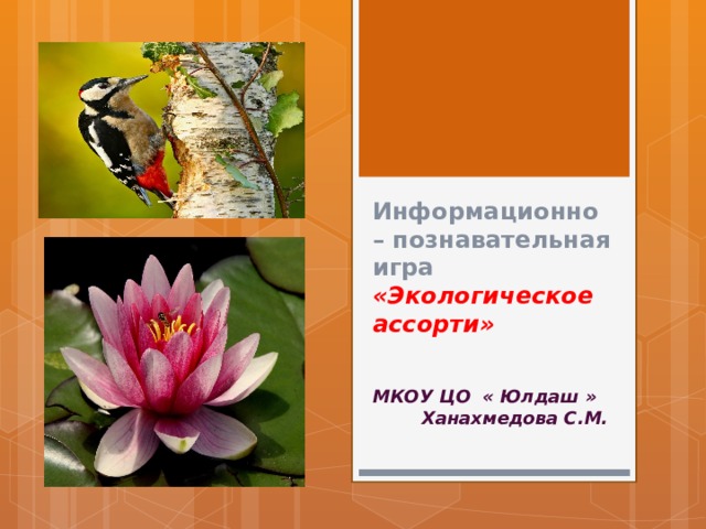 Информационно – познавательная игра «Экологическое ассорти» МКОУ ЦО « Юлдаш » Ханахмедова С.М. 