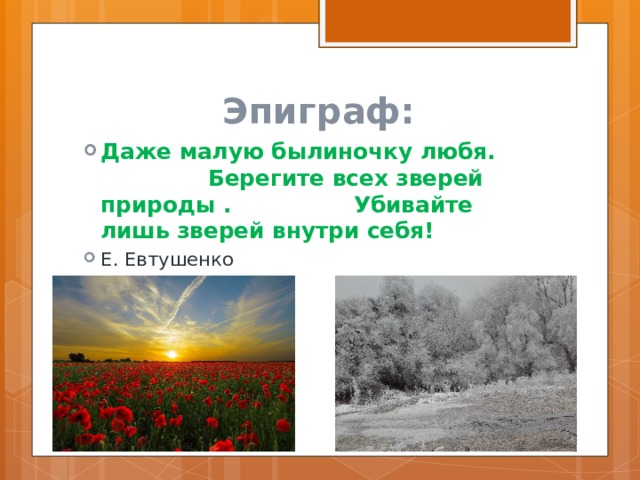 Эпиграф: Даже малую былиночку любя. Берегите всех зверей природы . Убивайте лишь зверей внутри себя! Е. Евтушенко  
