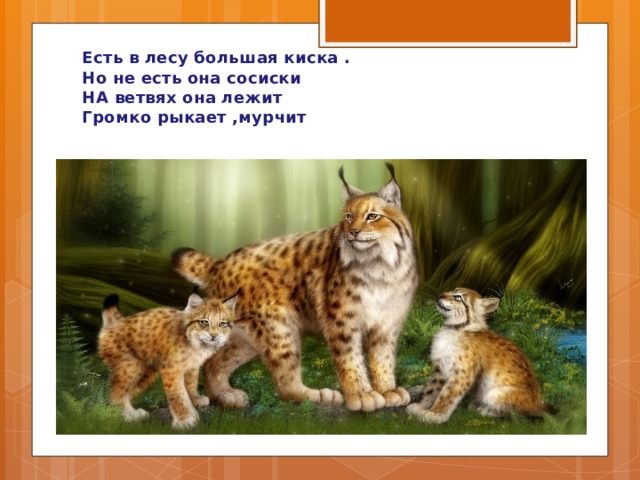 Есть в лесу большая киска .  Но не есть она сосиски  НА ветвях она лежит  Громко рыкает ,мурчит 