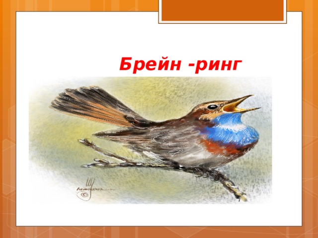  Брейн -ринг 