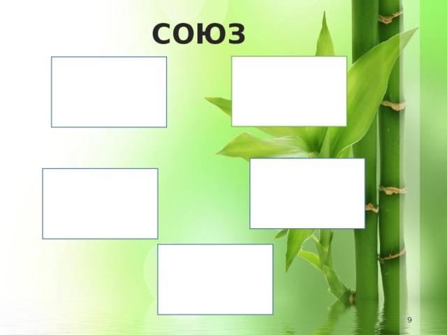 СОЮЗ   