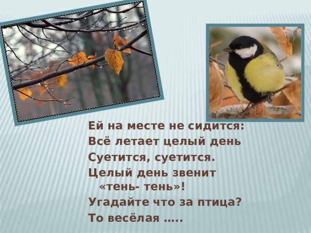 Ей на месте не сидится: Всё летает целый день Суетится, суетится. Целый день звенит «тень- тень»! Угадайте что за птица? То весёлая ….. 