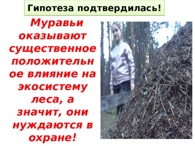 Гипотеза подтвердилась!  Муравьи оказывают существенное положительное влияние на экосистему леса, а значит, они нуждаются в охране! 
