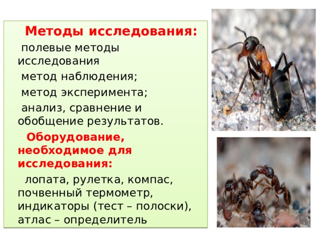  Методы исследования:  полевые методы исследования  метод наблюдения;  метод эксперимента;  анализ, сравнение и обобщение результатов.  Оборудование, необходимое для исследования:  лопата, рулетка, компас, почвенный термометр, индикаторы (тест – полоски), атлас – определитель 