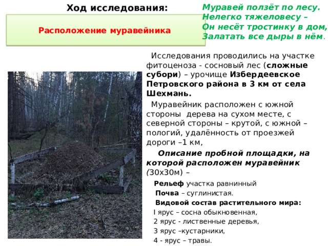 Ход исследования: Муравей ползёт по лесу. Нелегко тяжеловесу – Он несёт тростинку в дом, Залатать все дыры в нём .  Расположение муравейника    Исследования проводились на участке фитоценоза - сосновый лес ( сложные  субори )  – урочище Избердеевское Петровского района в 3 км от села Шехмань.  Муравейник расположен с южной стороны дерева на сухом месте, с северной стороны – крутой, с южной – пологий, удалённость от проезжей дороги –1 км,  Описание пробной площадки, на которой расположен муравейник ( 30х30м) –  Рельеф участка равнинный  Почва – суглинистая.  Видовой состав растительного мира:  I ярус – сосна обыкновенная,  2 ярус - лиственные деревья,  3 ярус –кустарники,  4 - ярус – травы.  