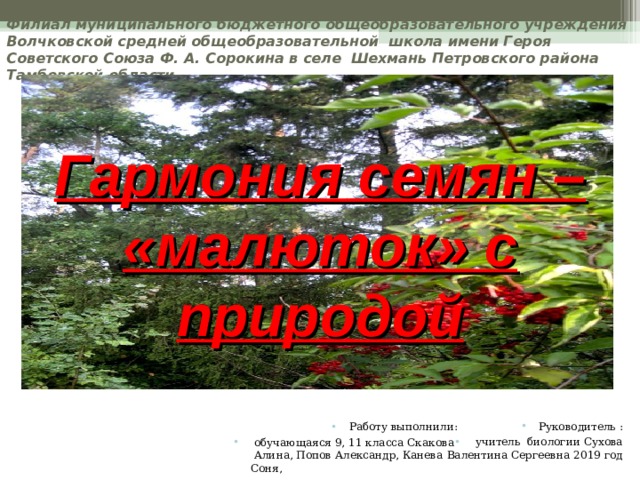   Филиал муниципального бюджетного общеобразовательного учреждения  Волчковской средней общеобразовательной школа имени Героя Советского Союза Ф. А. Сорокина в селе Шехмань Петровского района Тамбовской области Гармония семян – «малюток» с природой Руководитель :  учитель биологии Сухова Валентина Сергеевна 2019 год  Работу выполнили:  обучающаяся 9, 11 класса Скакова Алина, Попов Александр, Канева Соня, 