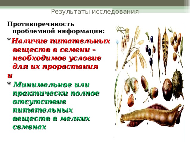 Результаты исследования Противоречивость проблемной информации: * Наличие питательных веществ в семени – необходимое условие для их прорастания и * Минимальное или практически полное отсутствие питательных веществ в мелких семенах  