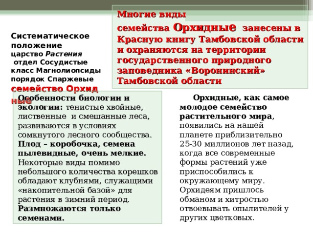 Многие виды семейства  Орхидны е занесены в Красную книгу Тамбовской области и охраняются на территории государственного природного заповедника «Воронинский» Тамбовской области       Систематическое положение   царство  Растения  отдел Сосудистые  класс Магнолиопсиды  порядок Спаржевые  семейство Орхидны е     Особенности биологии и экологии: тенистые хвойные, лиственные и смешанные леса, развиваются в условиях сомкнутого лесного сообщества . Плод – коробочка, семена пылевидные, очень мелкие. Некоторые виды помимо небольшого количества корешков обладают клубнями, служащими «накопительной базой» для растения в зимний период. Размножаются только семенами.  Орхидные, как самое молодое семейство растительного мира , появились на нашей планете приблизительно 25-30 миллионов лет назад, когда все современные формы растений уже приспособились к окружающему миру. Орхидеям пришлось обманом и хитростью отвоевывать опылителей у других цветковых.  
