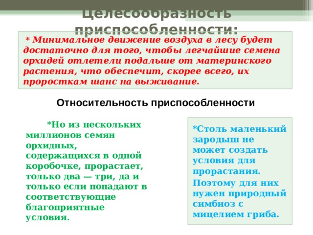 Целесообразность  приспособленности:  Целесообразность  приспособленности:    * Минимальное движение воздуха в лесу будет достаточно для того, чтобы легчайшие семена орхидей отлетели подальше от материнского растения, что обеспечит, скорее всего, их проросткам шанс на выживание. Относительность приспособленности *Столь маленький зародыш не может создать условия для прорастания. Поэтому для них нужен природный симбиоз с мицелием гриба.  *Но из нескольких миллионов семян орхидных, содержащихся в одной коробочке, прорастает, только два — три, да и только если попадают в соответствующие благоприятные условия .  