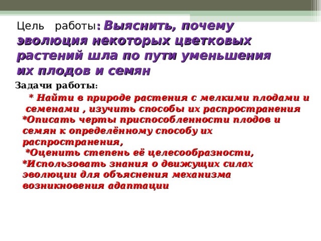   Цель работы :  Выяснить, почему эволюция некоторых цветковых растений шла по пути уменьшения их плодов и семян      Задачи работы :   * Найти в природе растения с мелкими плодами и семенами , изучить способы их распространения  *Описать черты приспособленности плодов и семян к определённому способу их распространения,  *Оценить степень её целесообразности,  *Использовать знания о движущих силах эволюции для объяснения механизма возникновения адаптации 