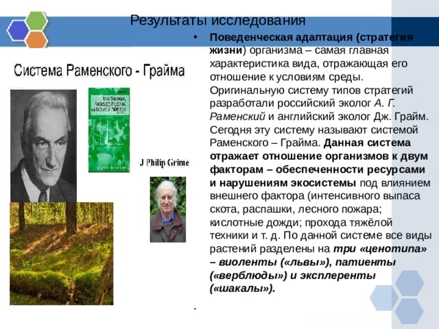 Результаты исследования Поведенческая адаптация (стратегия жизни ) организма – самая главная характеристика вида, отражающая его отношение к условиям среды. Оригинальную систему типов стратегий разработали российский эколог А. Г. Раменский и английский эколог Дж. Грайм. Сегодня эту систему называют системой Раменского – Грайма. Данная система отражает отношение организмов к двум факторам – обеспеченности ресурсами и нарушениям экосистемы под влиянием внешнего фактора (интенсивного выпаса скота, распашки, лесного пожара; кислотные дожди; прохода тяжёлой техники и т. д. По данной системе все виды растений разделены на три «ценотипа» – виоленты («львы»), патиенты («верблюды») и эксплеренты («шакалы»). . 