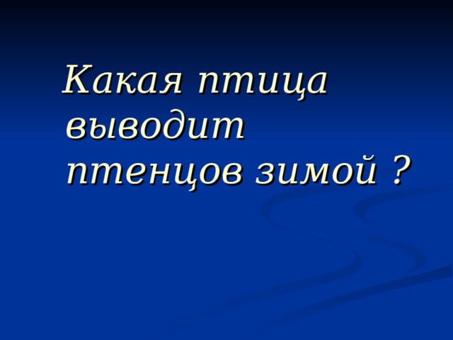  Какая птица выводит птенцов зимой ?  Какая птица выводит птенцов зимой ? 