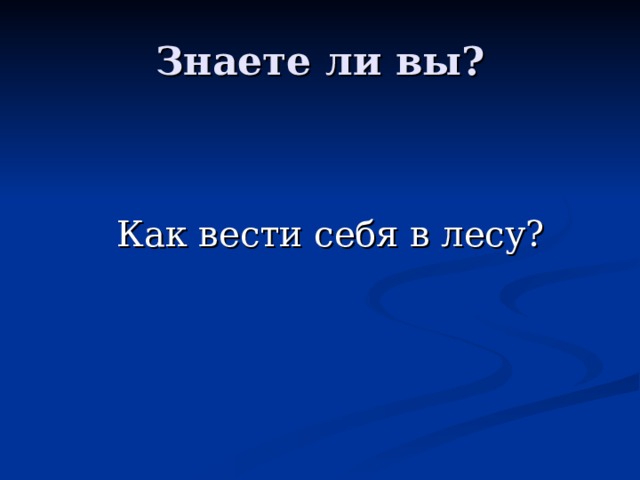 Как вести себя в лесу? 