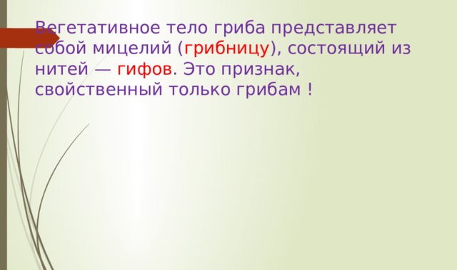 Вегетативное тело гриба представляет собой мицелий ( грибницу ), состоящий из нитей — гифов . Это признак, свойственный только грибам ! 