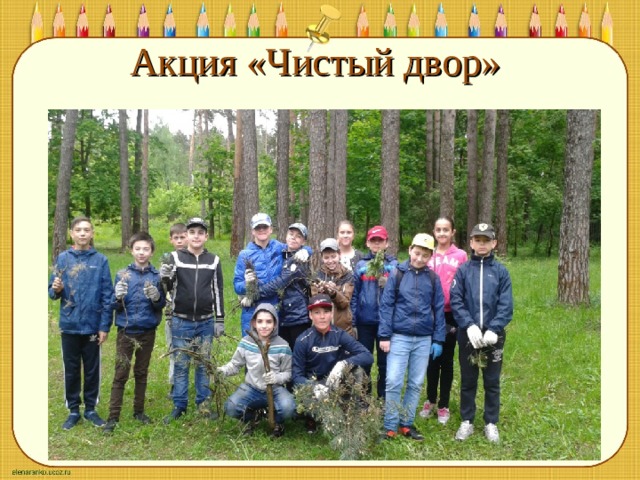 Акция «Чистый двор» 